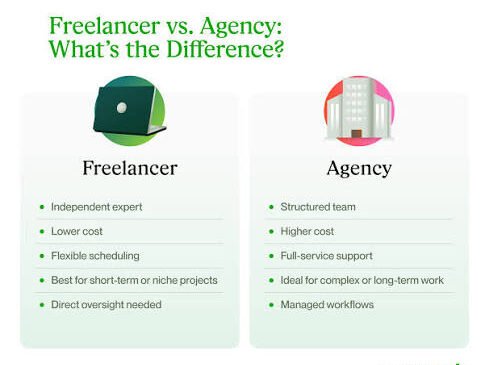 freelancer vs web design agency